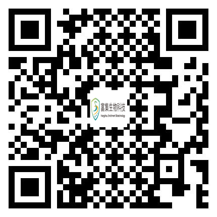 手機端瀏覽網站