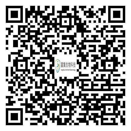 手機端瀏覽網站