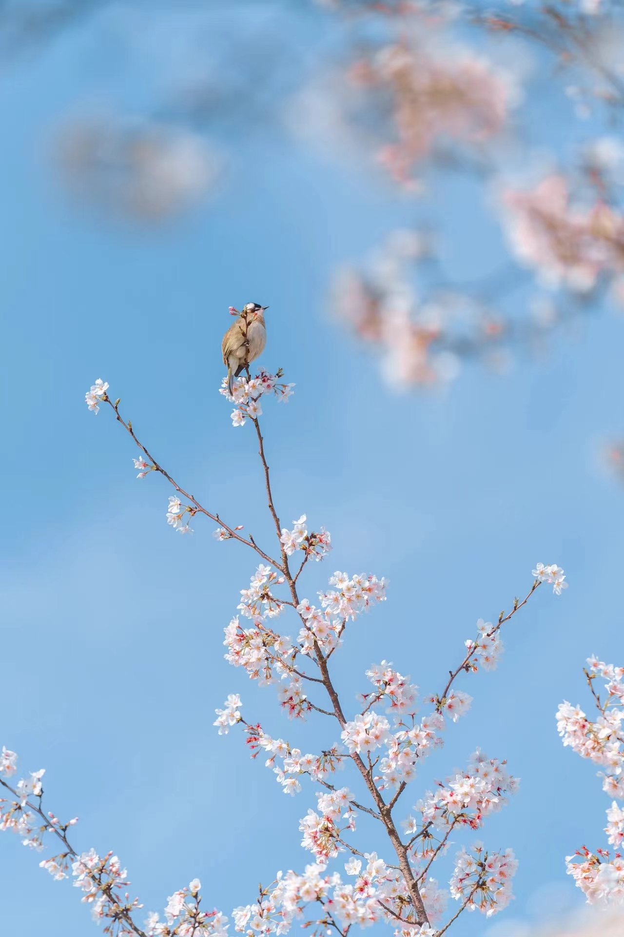 提前十分鐘，人生大不同